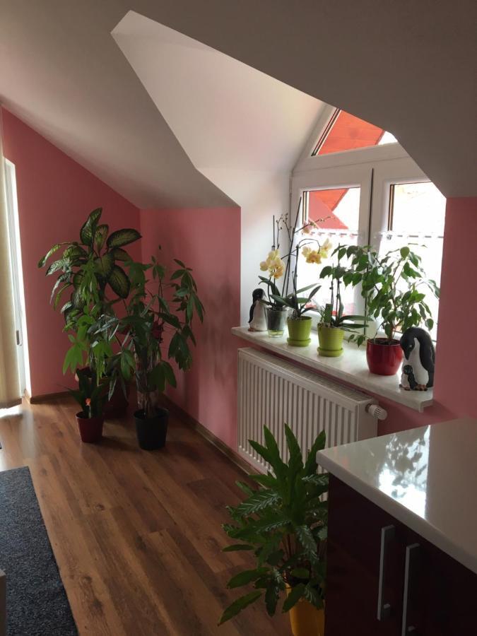Privat Daniela Strba Apartment Luaran gambar